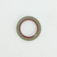 Ущільнювальне кільце 16231485T