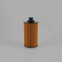 Масляний фільтр 16232149Q