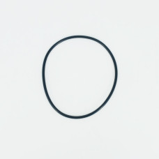 Ущільнювальне кільце 1001993111