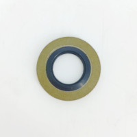 Ущільнювальне кільце 1000969912