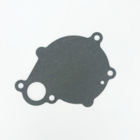 Прокладка водяного насосу 490Q-08008