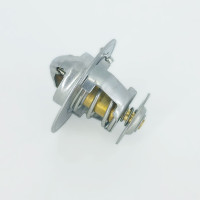 Термостат 493031500