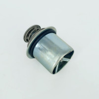 Термостат 544889900