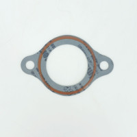 Прокладка термостата Z30100046