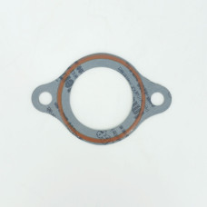 Прокладка термостата Z30100046